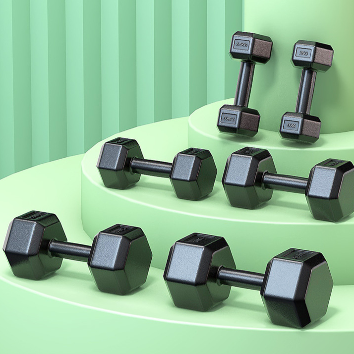 Hexagon Rubber Coated Dumbbell for Home Gym Training